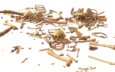 Wat zijn botten en wat doen ze?